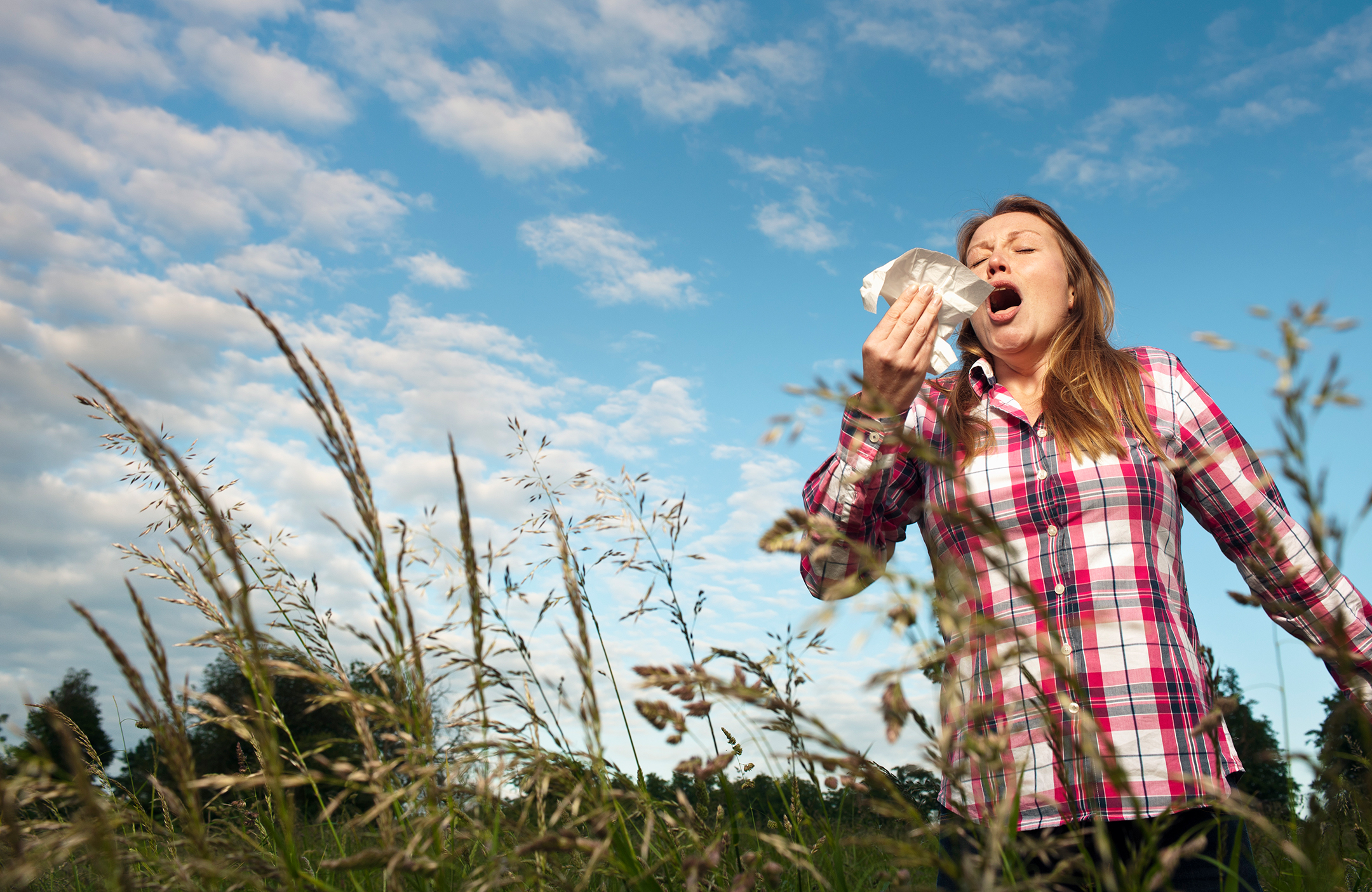 Woman sneezing in tall grass