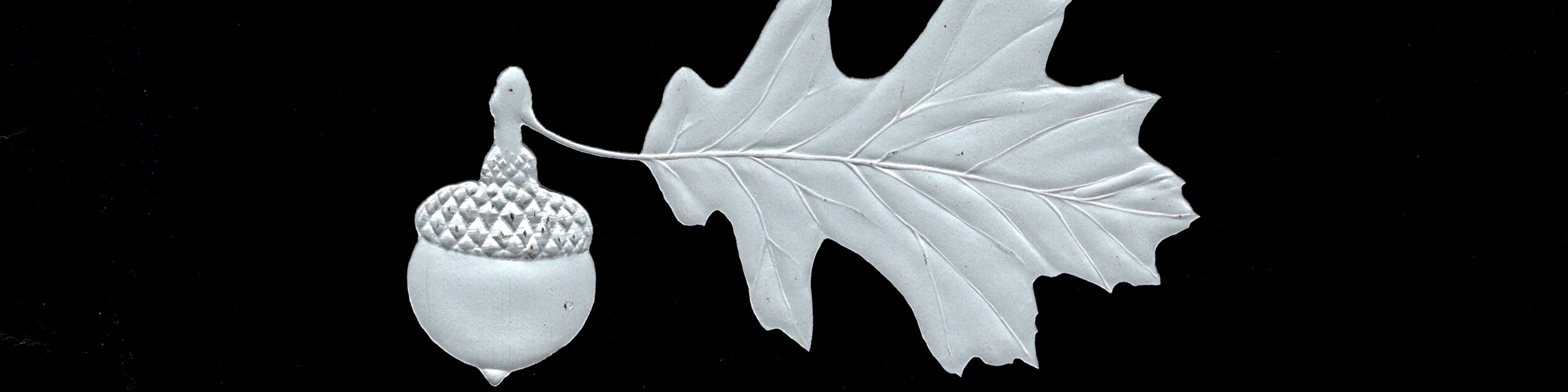 a silver acorn and oak leaf on a black background