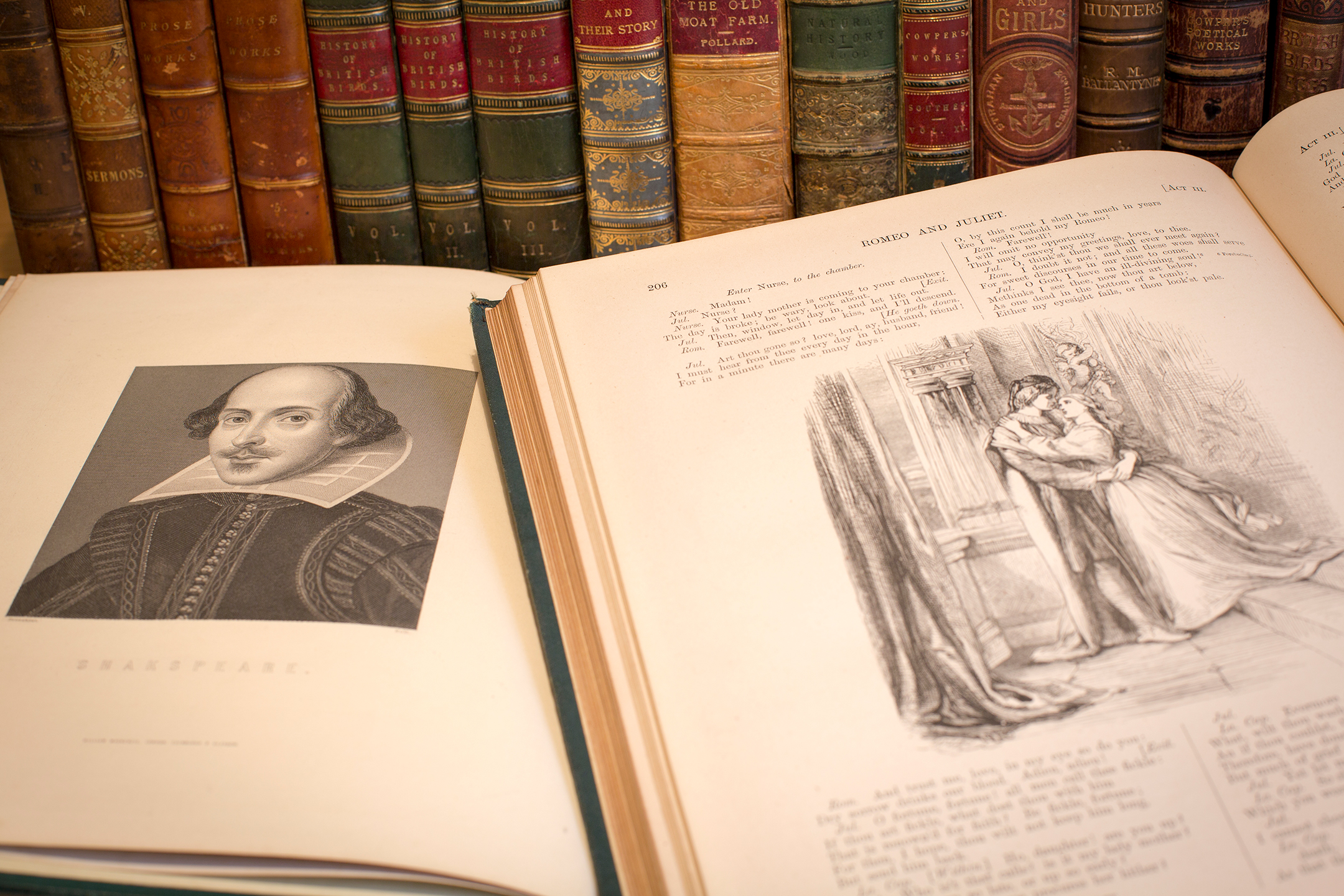 two old editions of shakespeare works lie open in front of a book shelf of old leather-bound books