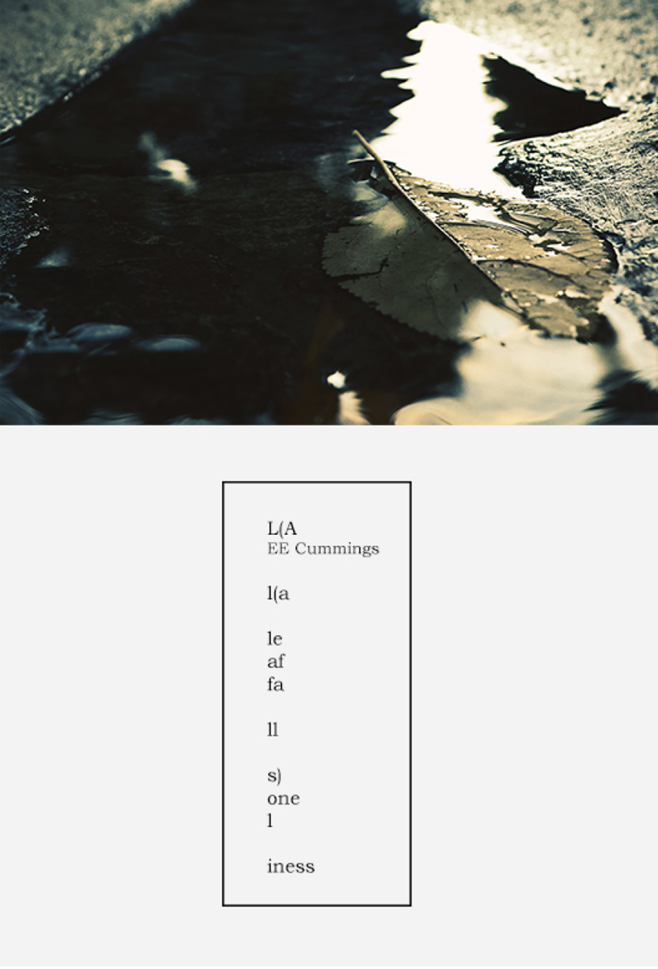 Photograph of a leaf in a small pool of water on asphalt, placed above a written poem