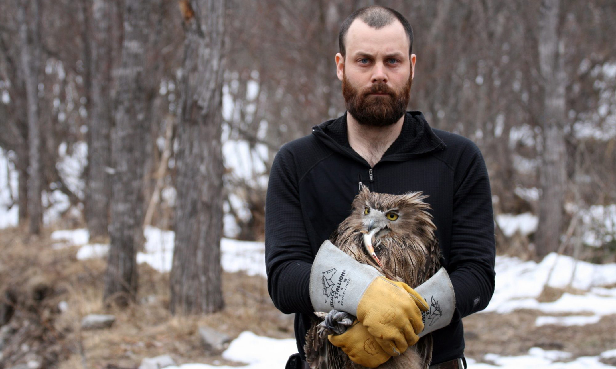 Author Jonathan Slaght wearing a black sweatshirt and holding an owl in a snowy forest