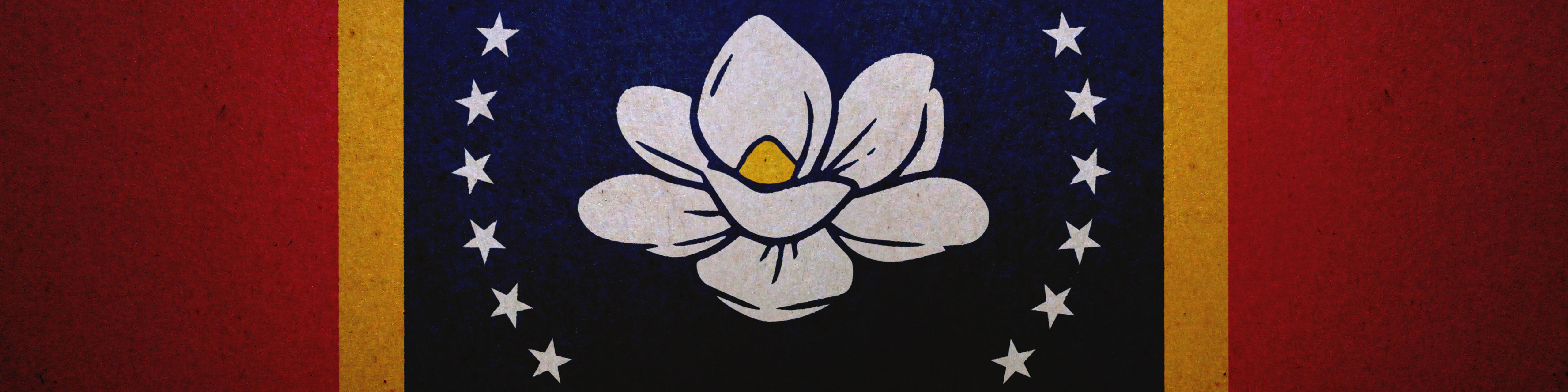 Detail of the new Mississippi state flag with a magnolia flower in the center and stars surrounding it