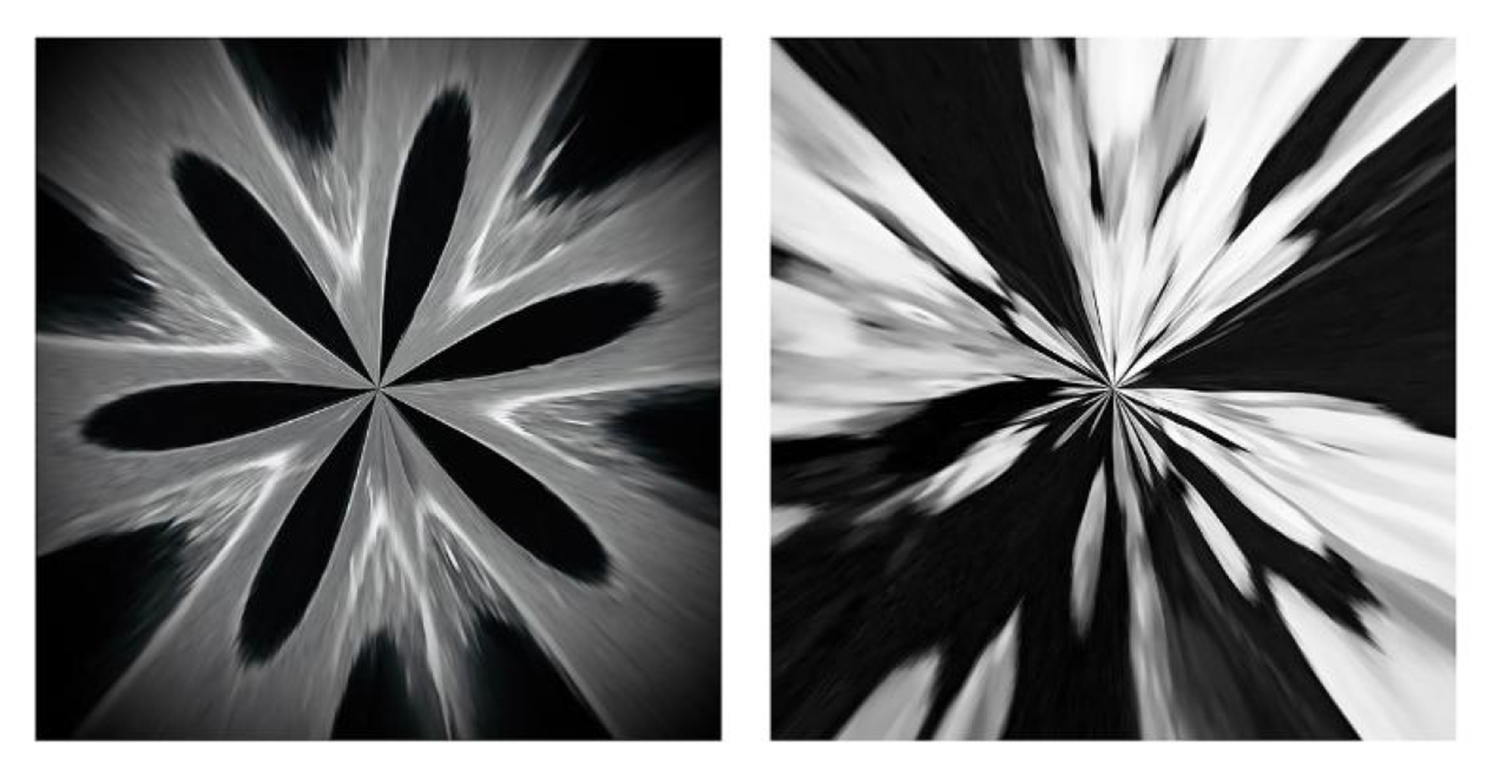 Two black and white photos, side by side, both of abstract star-like shapes