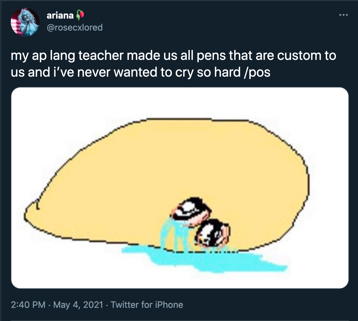 my ap lang teacher made us all pens that are custom to us and i've never wanted to cry so hard /pos, with an image of a crying potato