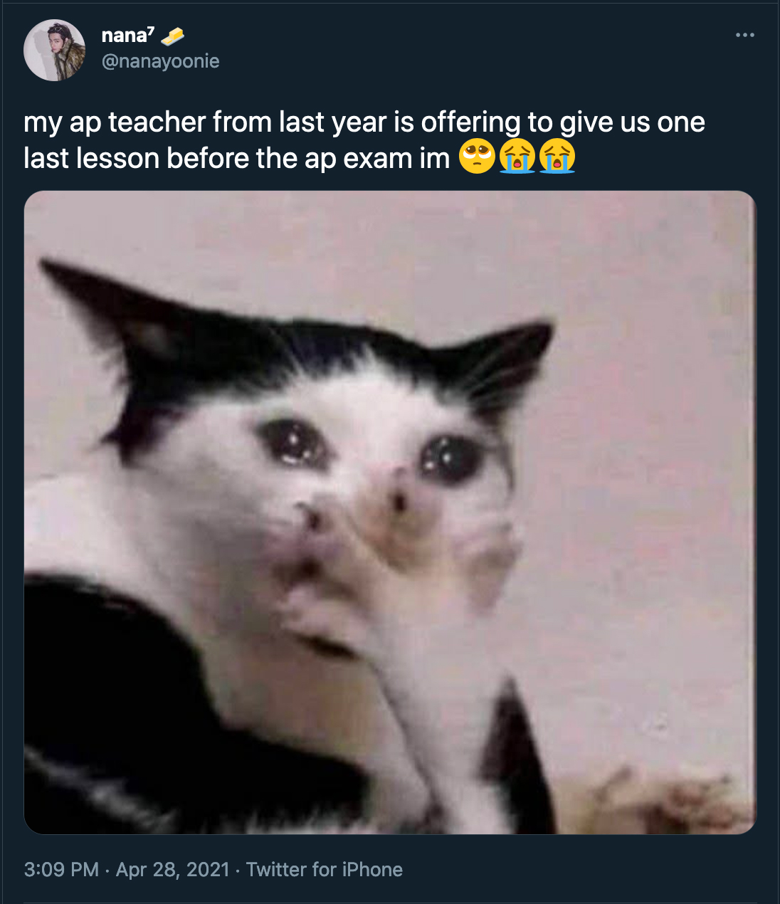 my ap teacher from last year is offering to give us one last lesson before the ap exam im three crying emoji, with a picture of a shocked cat