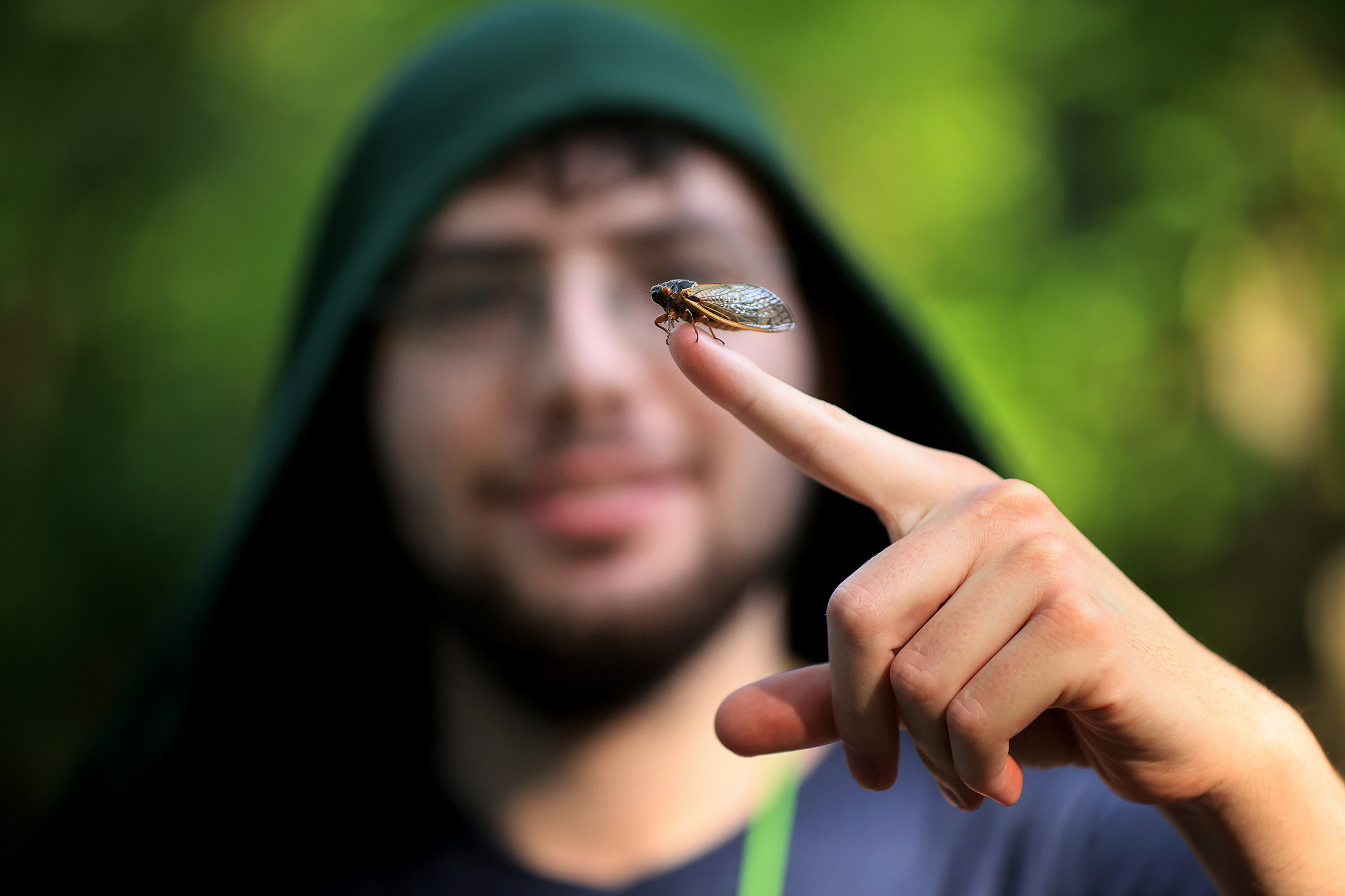 Photo of a cicada perched on a man's finger, with the man in the background smiling and out of focus