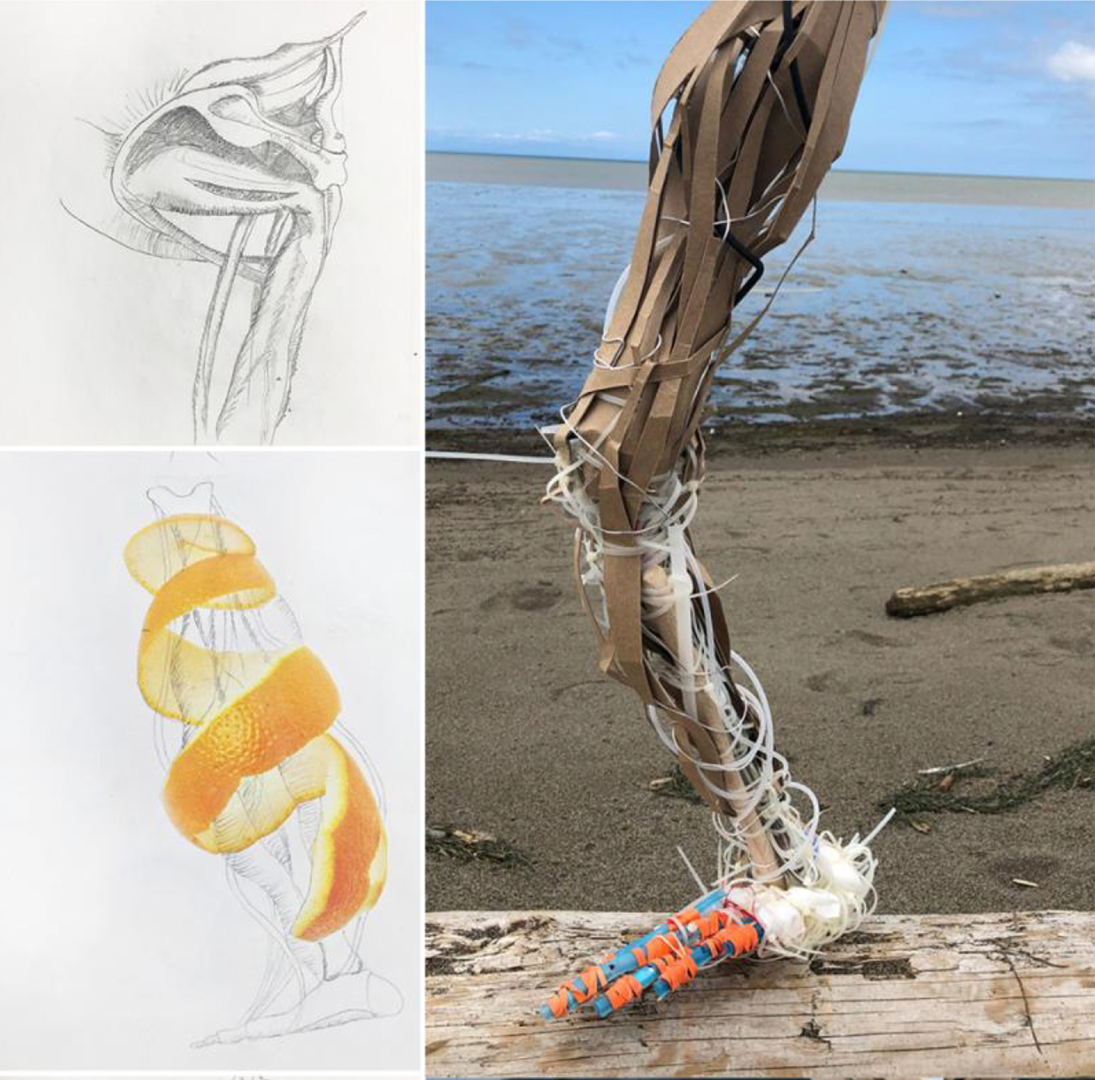 Sculpture of a leg and its ligaments on the right, with two sketches of the sculpture on the left