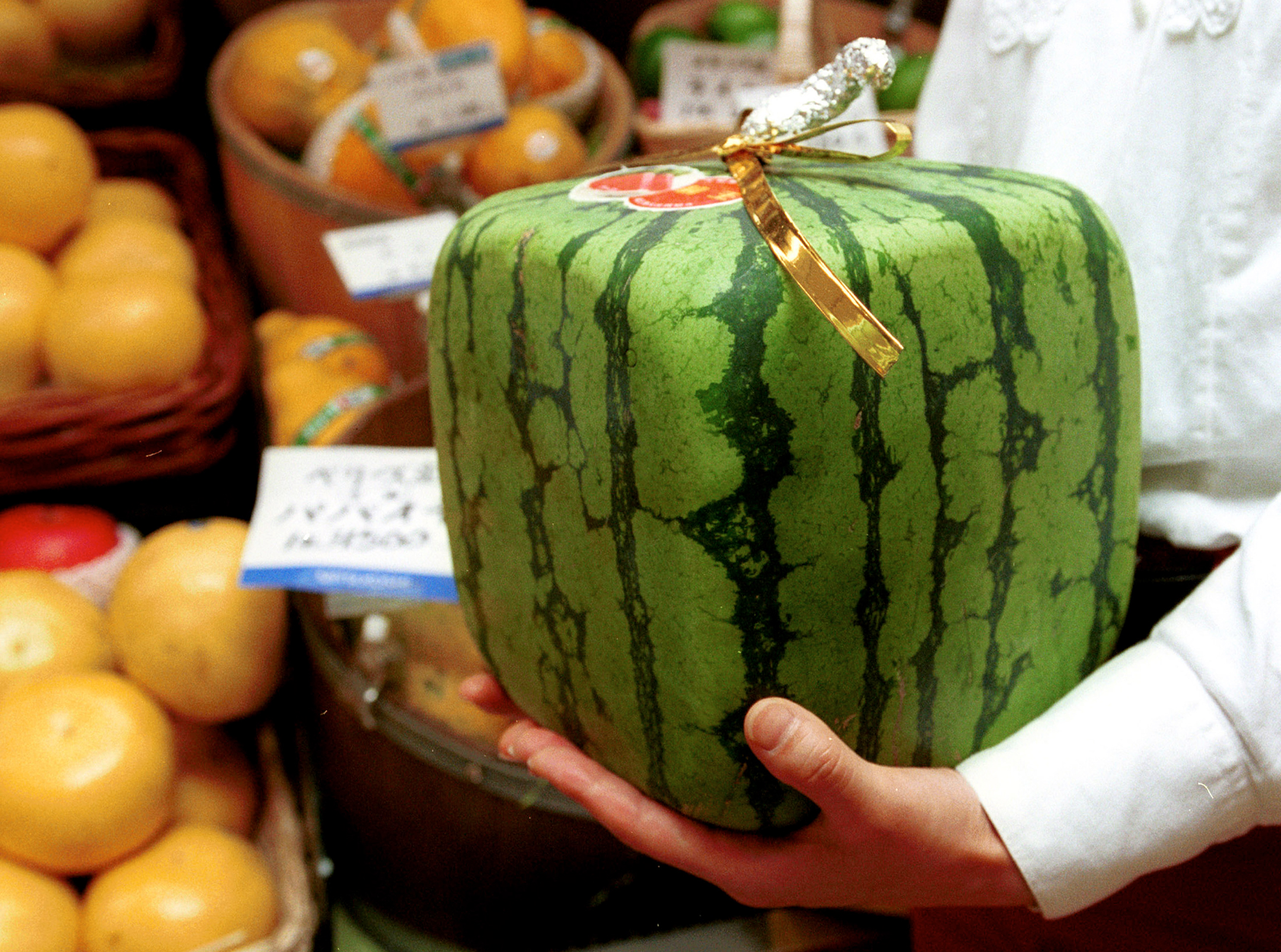 Woman holding a square watermelon with a bow tied around it
