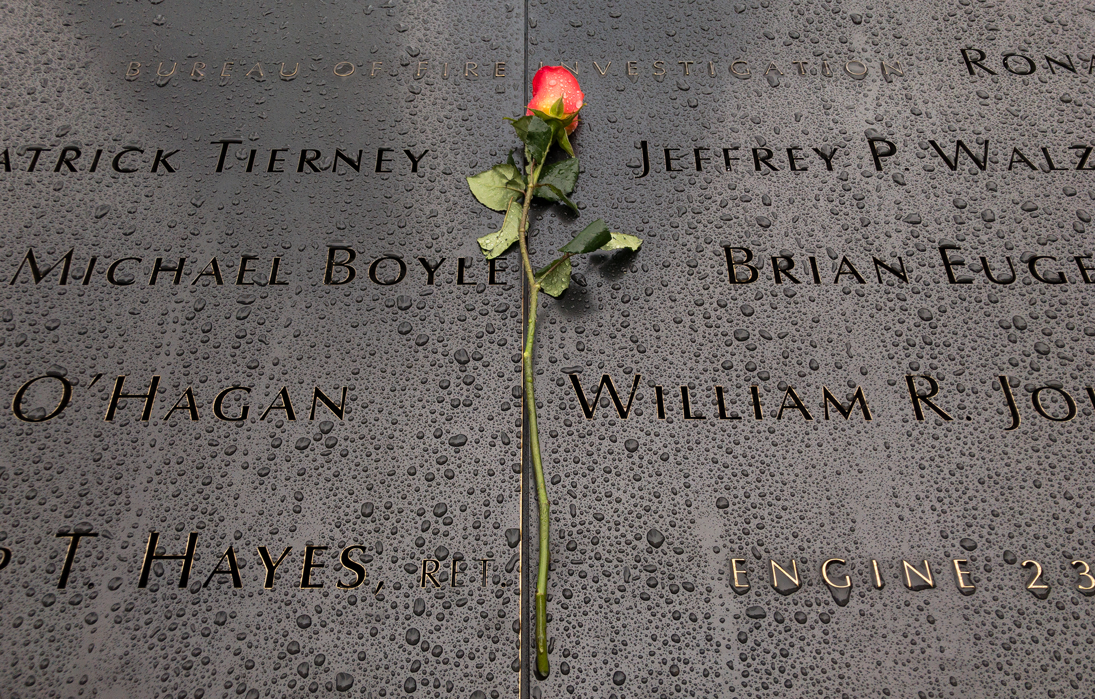 Detail of a rain covered section of the 9/11 memorial with a red rose laid in between a list of names