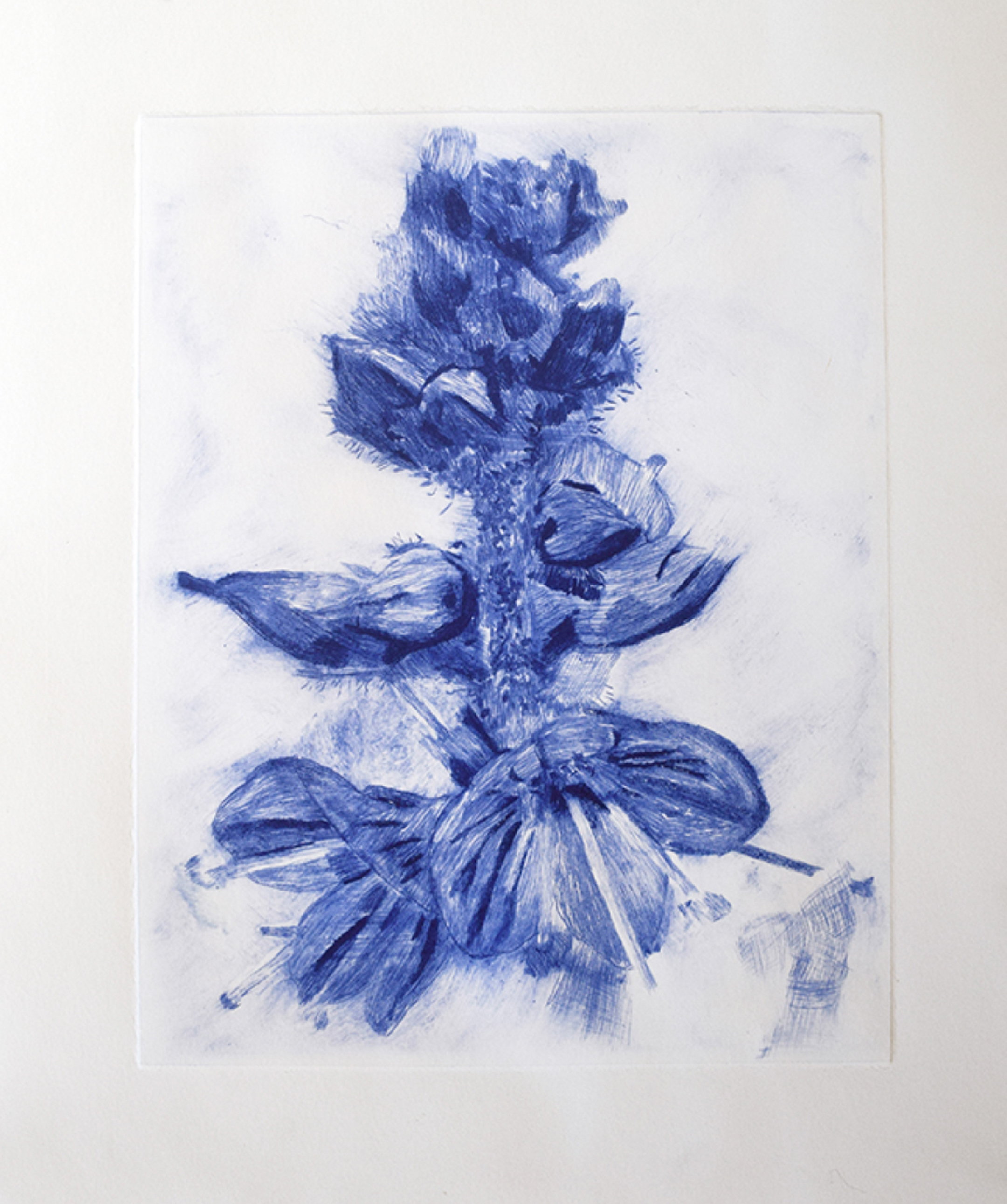 Blue sketch of a flower on a white background