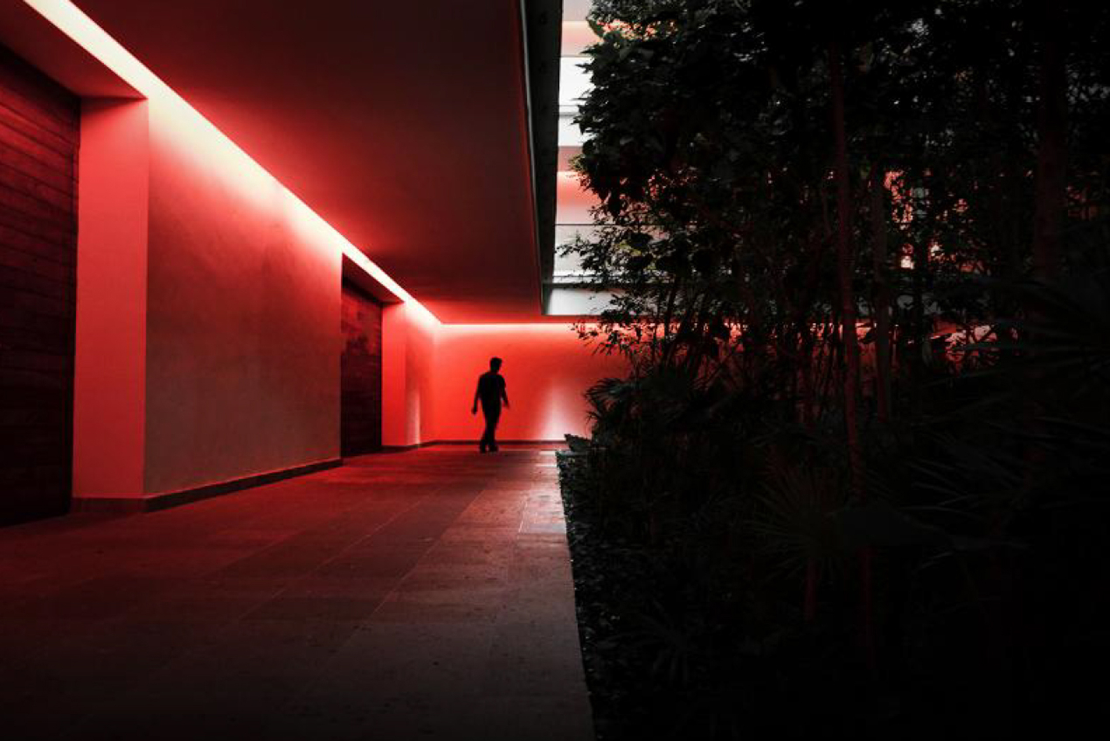 Photo of a person walking by an illuminated red wall at night