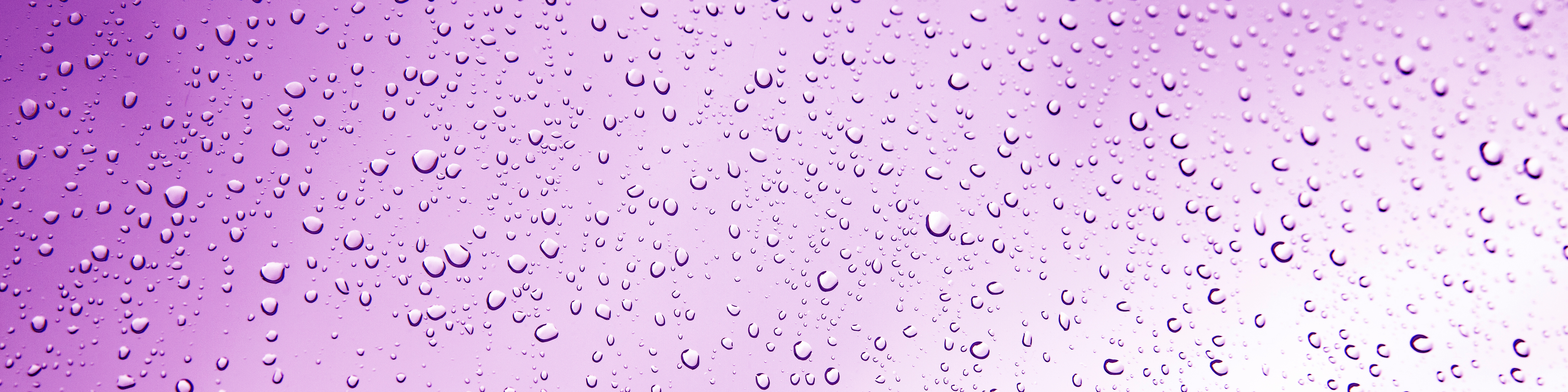 Water droplets on a purple background