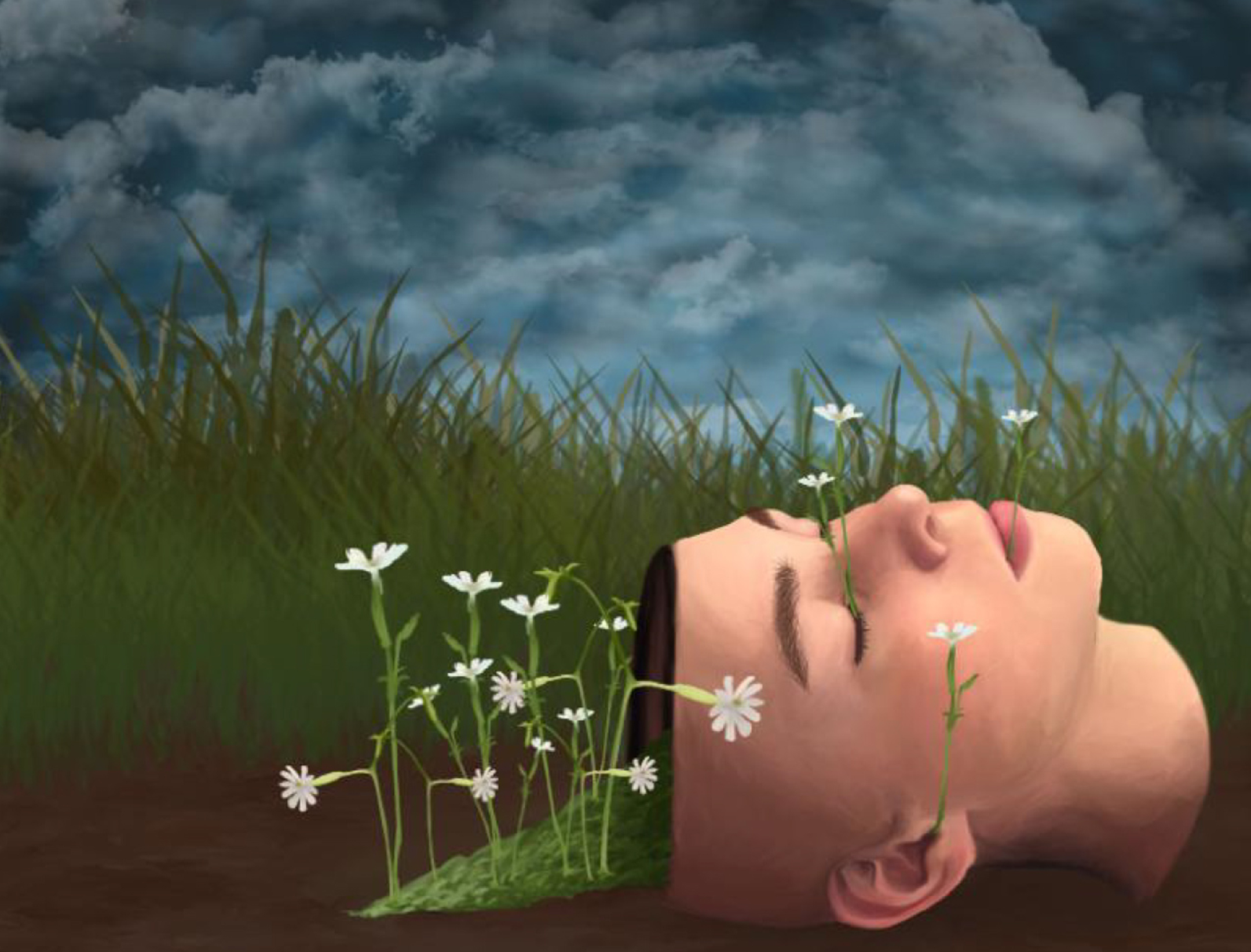 Illustration of a head of a sleeping man on grass with flowers flowing out of the top of the head