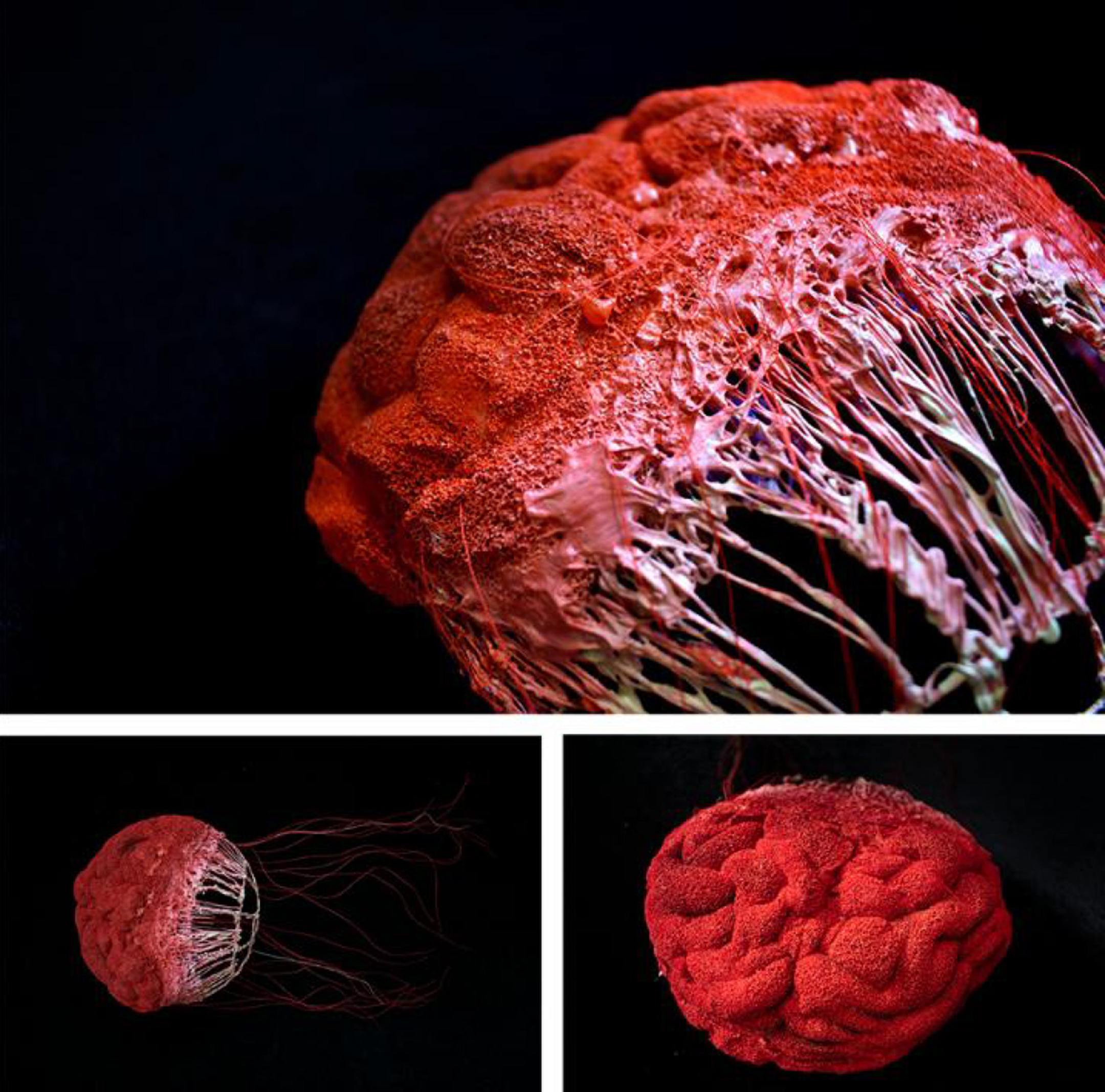 Three views of a red brain-jellyfish-like sculpture