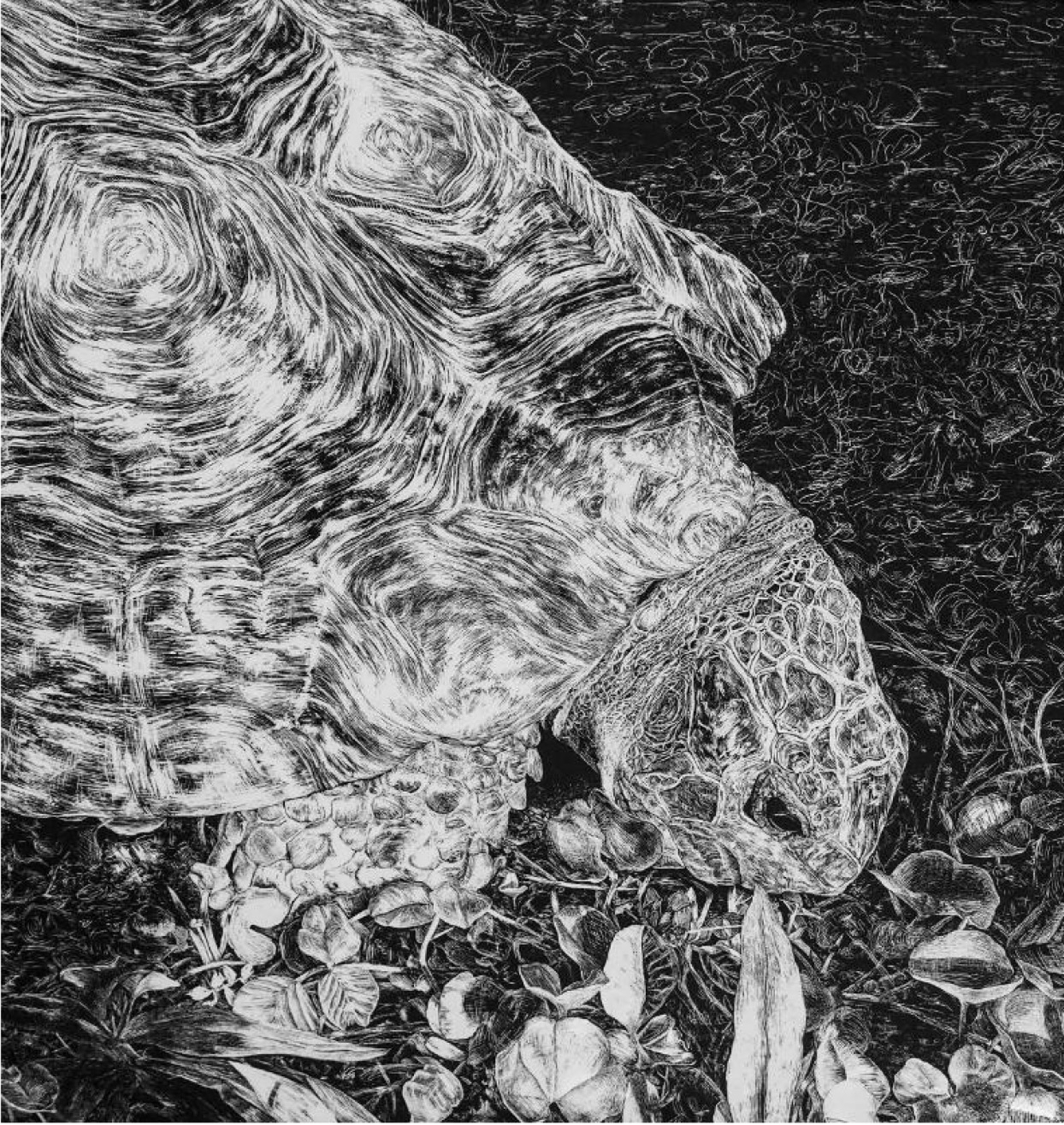Abstract black and white illustration of a turtle