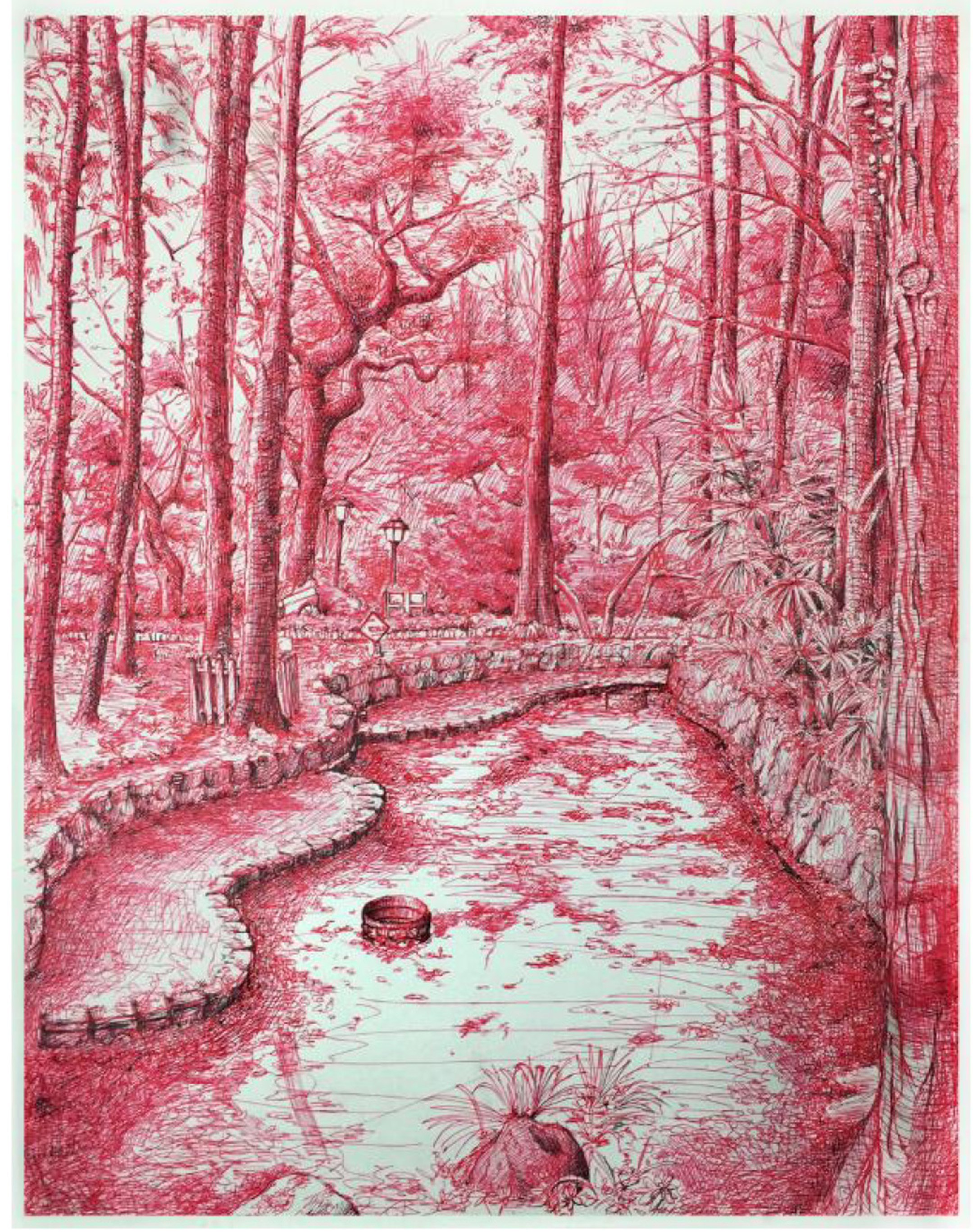 Nature illustration of a forest and stream in red and white