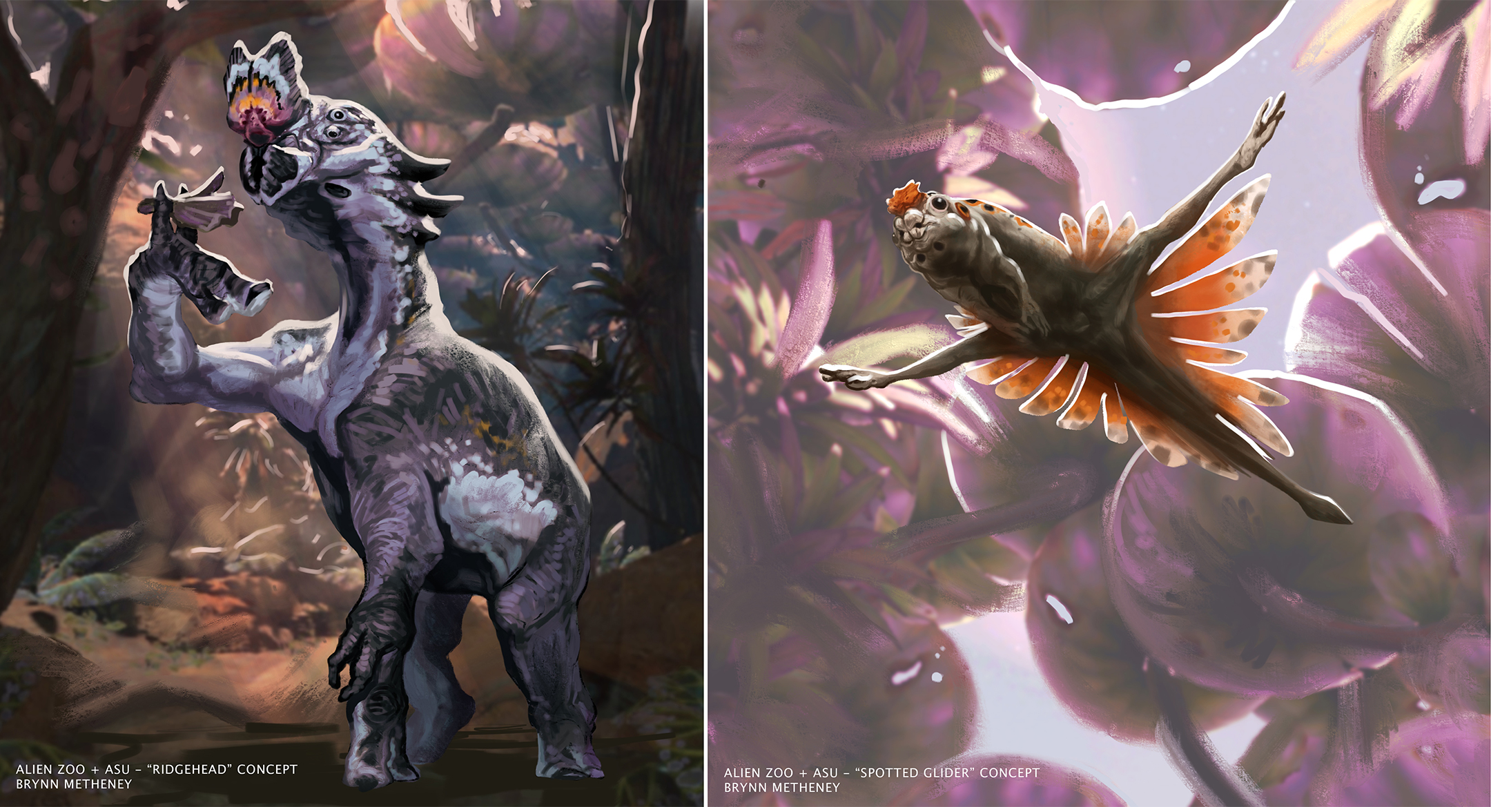Two illustrations, side by side, of alien creatures, a dragon-like dinosaur on the left and a flying amphibian-like creature on the right