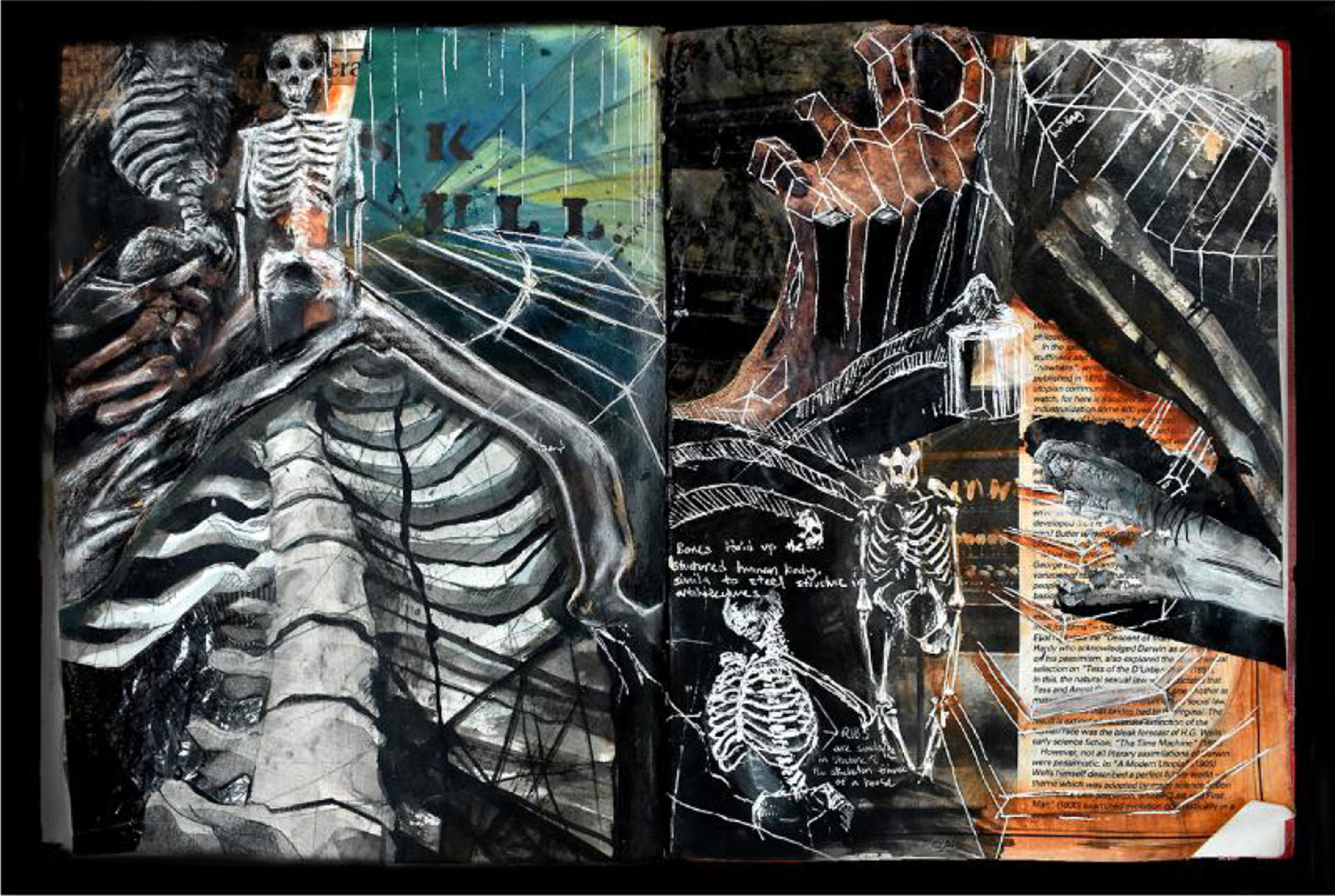 Two illustrations, side by side, of skeletons, bones, and rib cages