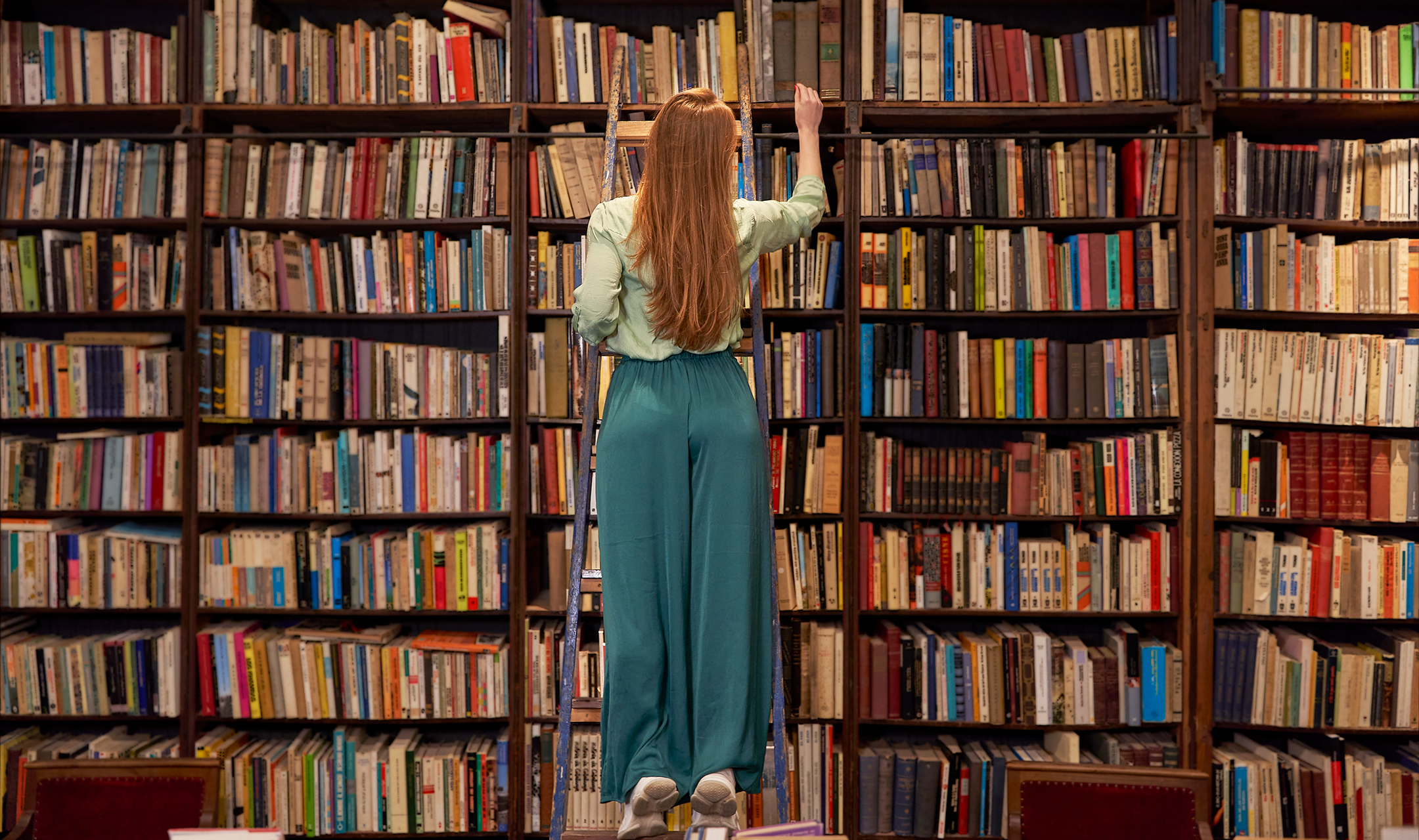 Photo of a young woman, seen from behind, standing on a ladder in front of large shelves of books
