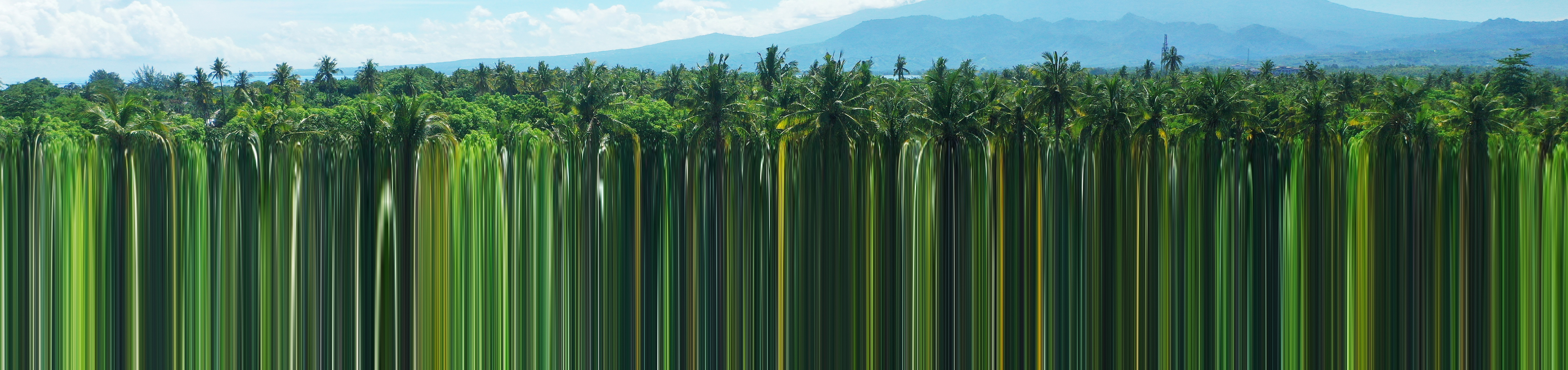 Digital generated image of tropical forest transforming into green digital stripe barcode pattern.