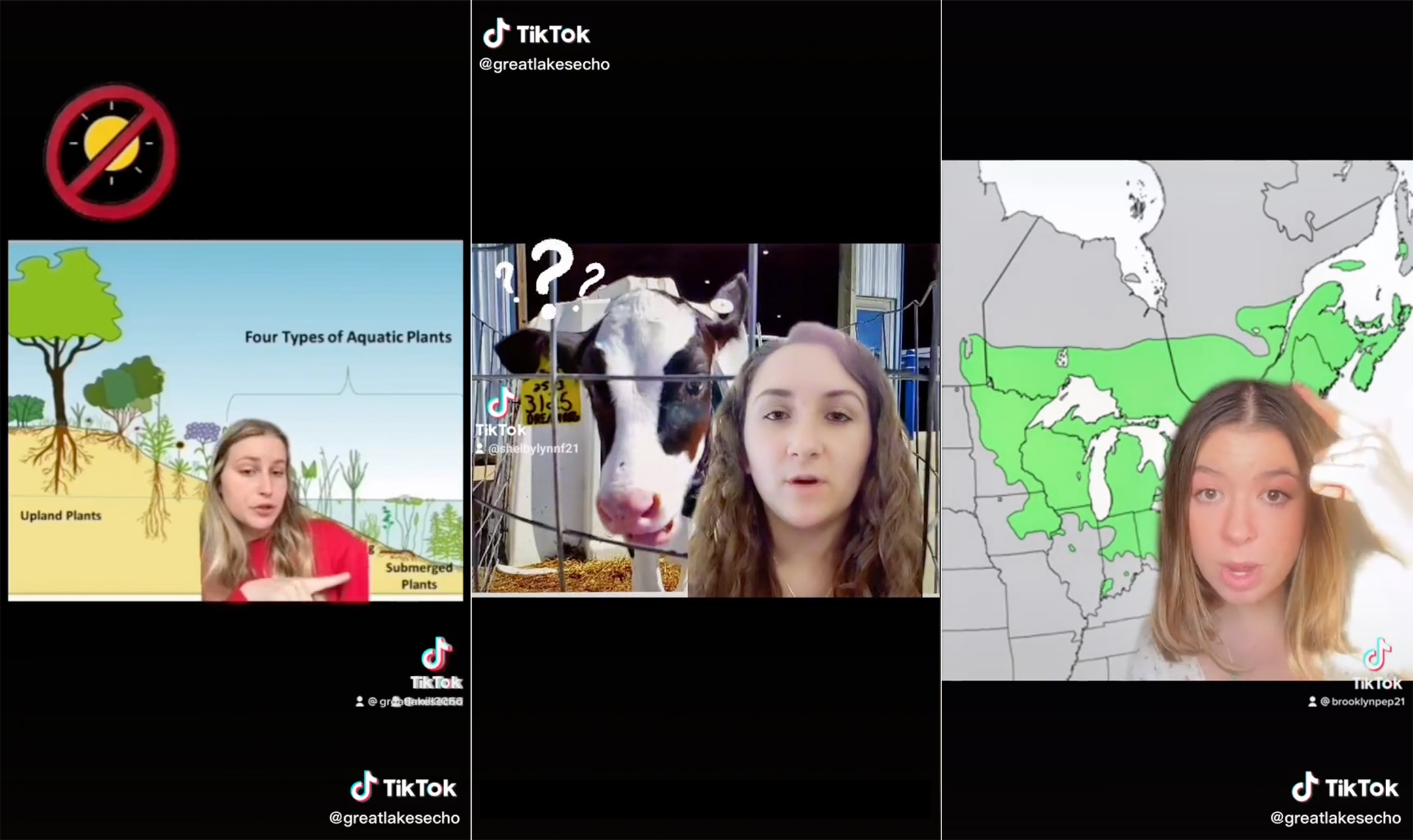 Row of three screenshots from TikTok, each showing a young woman in front of a background: diagram of a beach ecosystem on left, cows in middle, a map of the US shaded green from main to michigan and down to Missouri 