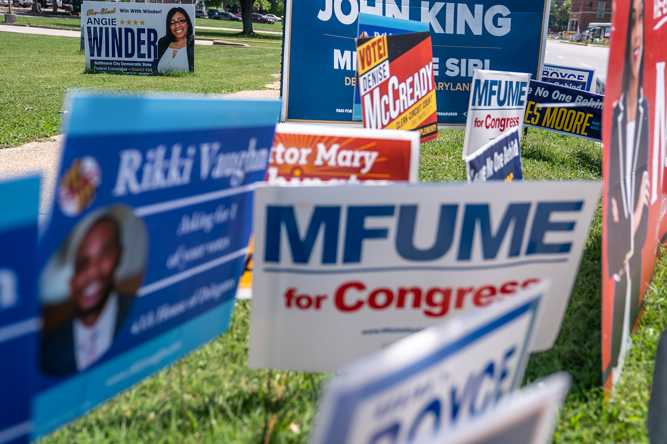 Photograph of a sea of political signs in a grassy area