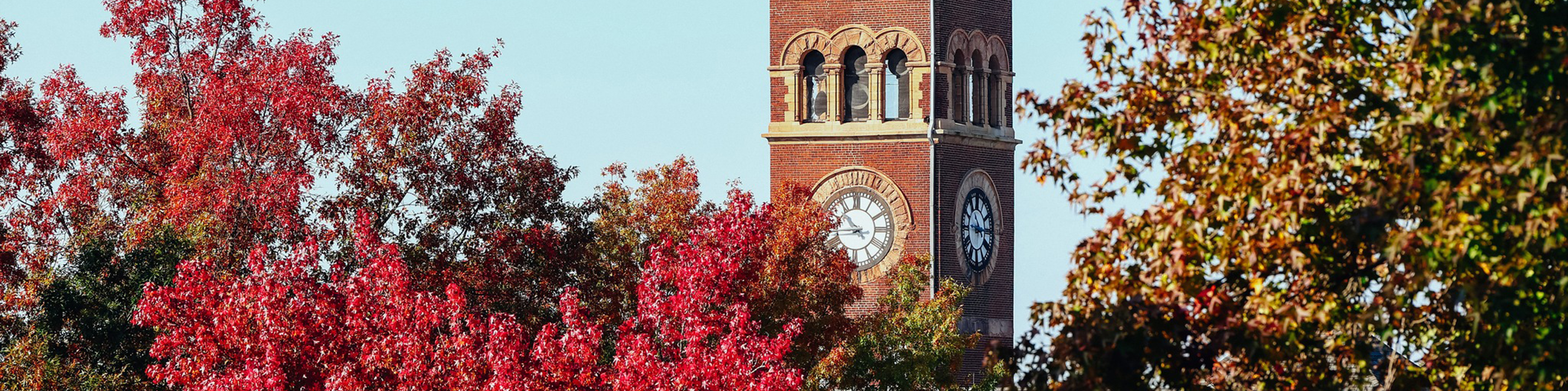 Photo of a campus clock tower behind trees with autumnal foliage