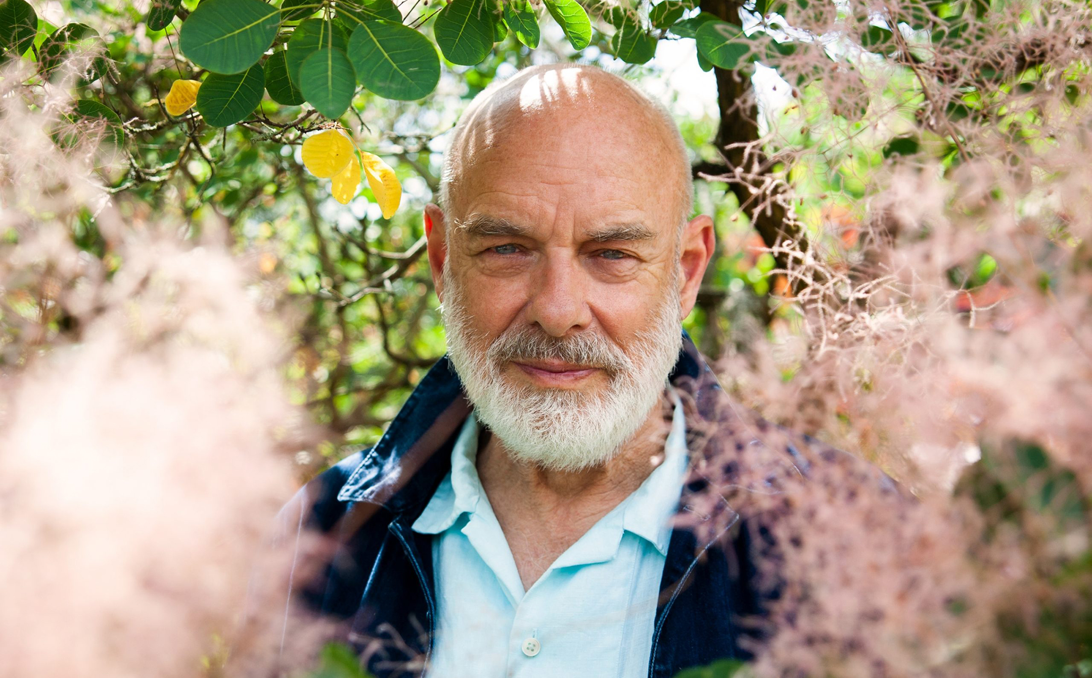 Balding man with a gray beard standing in a thicket of trees and flora