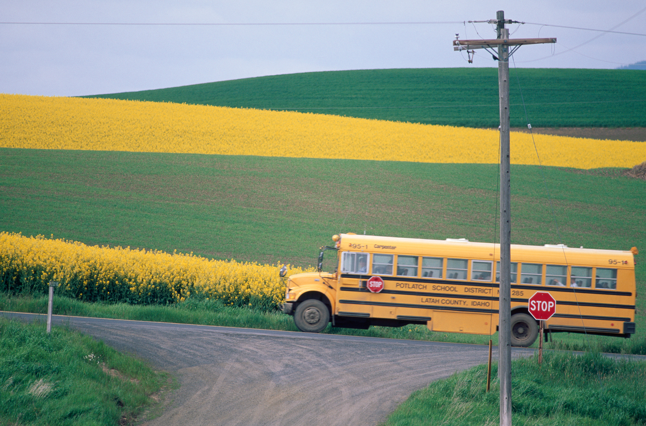 School Bus on Rural Road