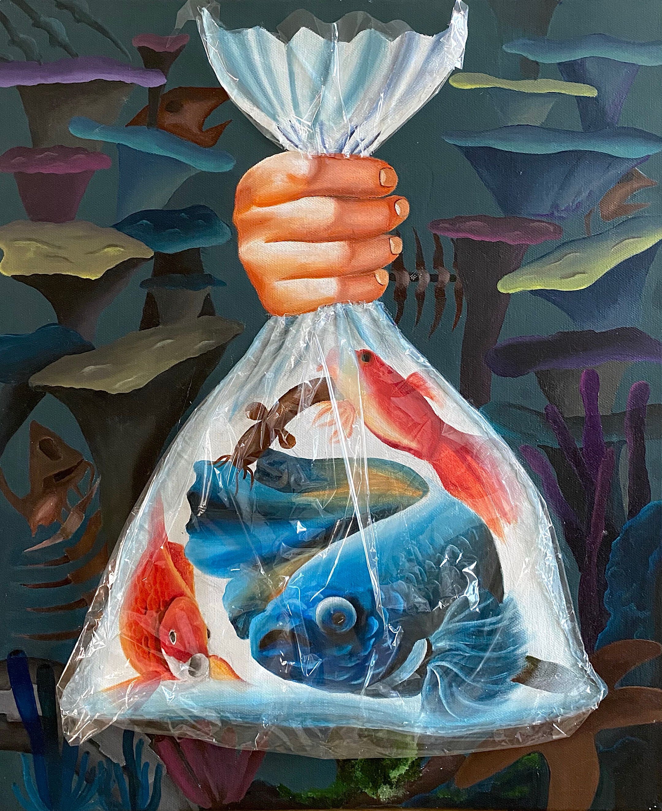 illustration of a hand holding a plastic bag full of fish of differing colors against a marine scene background
