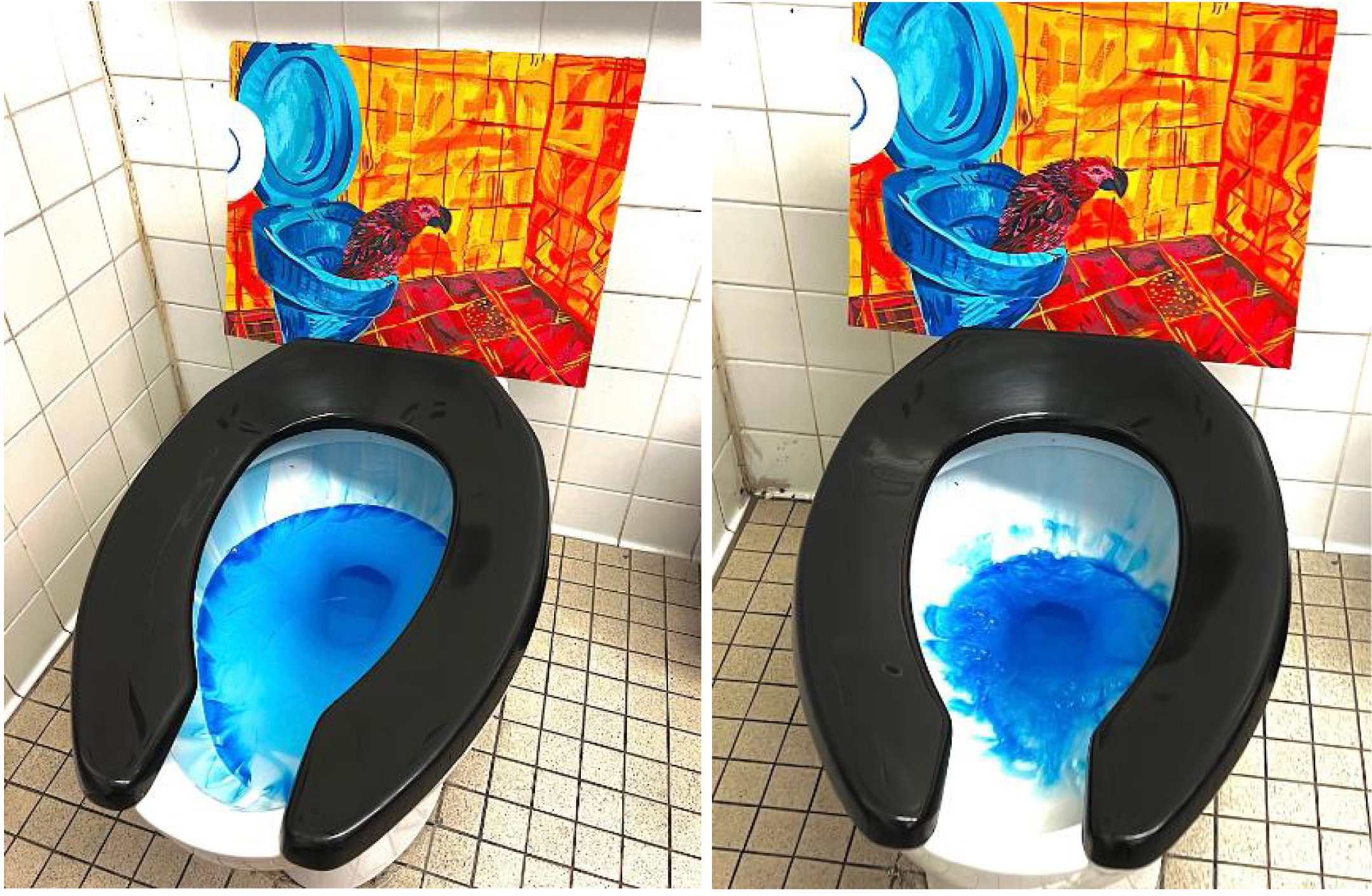 two photos, side by side, of a toilet with a painting of a bird coming out of a toilet propped on top of the seat