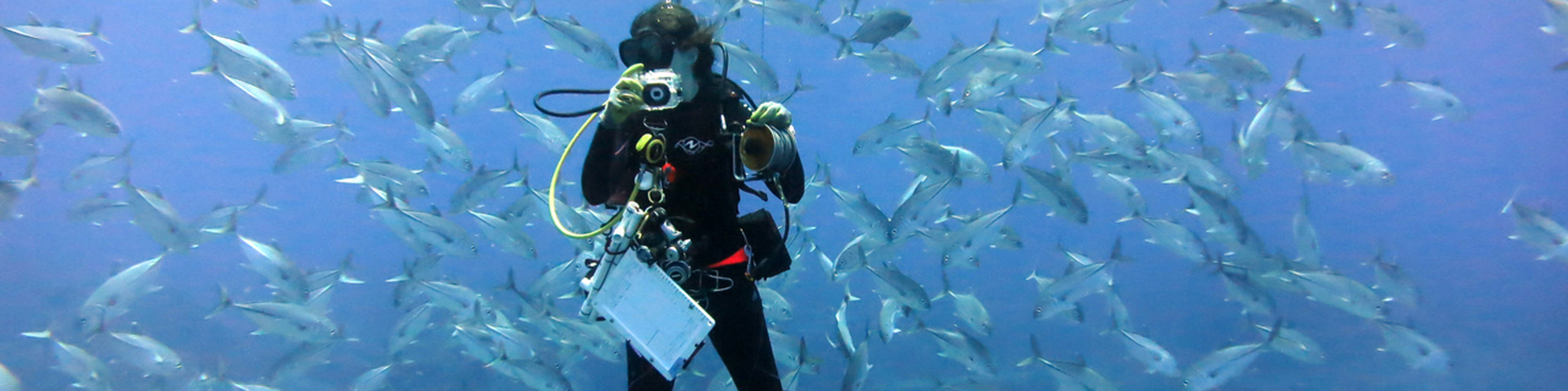marine biologist under wear in scuba gear holding a clipboard and other equipment while in the middle of a swarming school of fish
