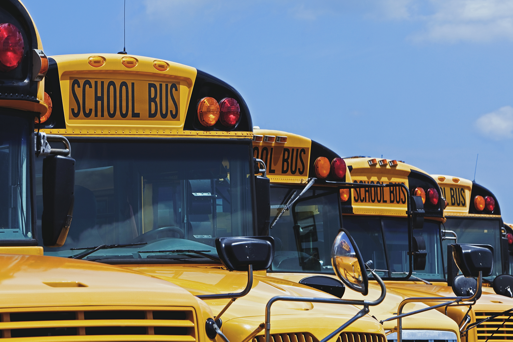 a row of yellow school buses
