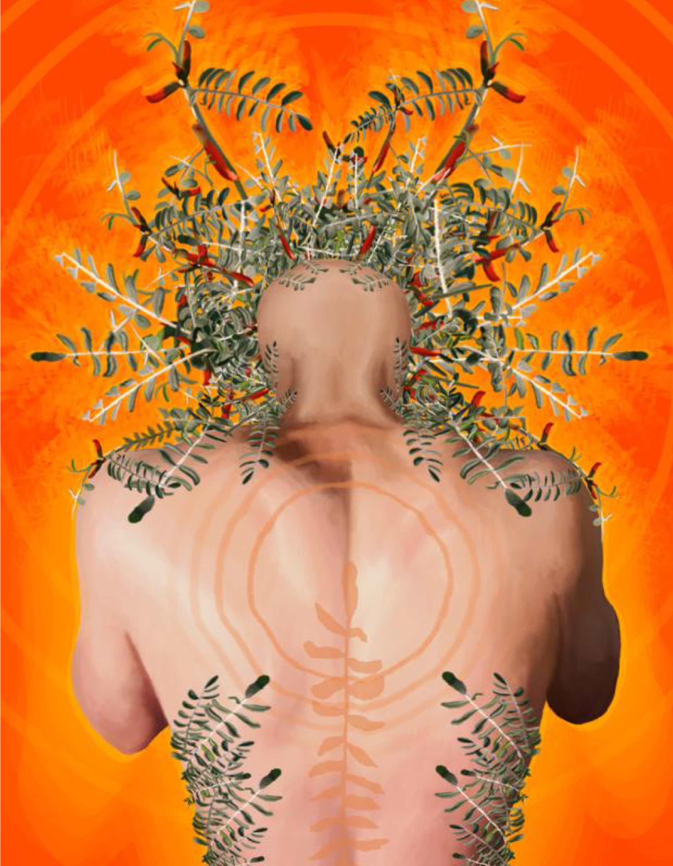Illustration of a man, seen from behind, with plants growing from his torso and head, against an orange background